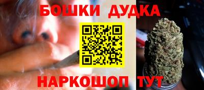 a pvp Тара