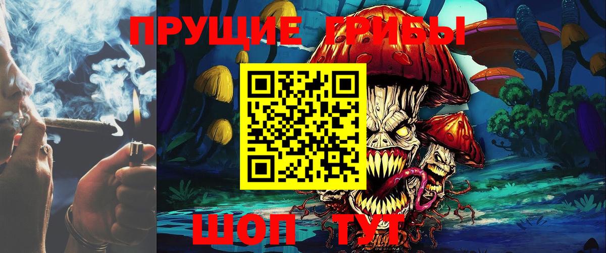 Псилоцибиновые грибы Cubensis Нефтекамск