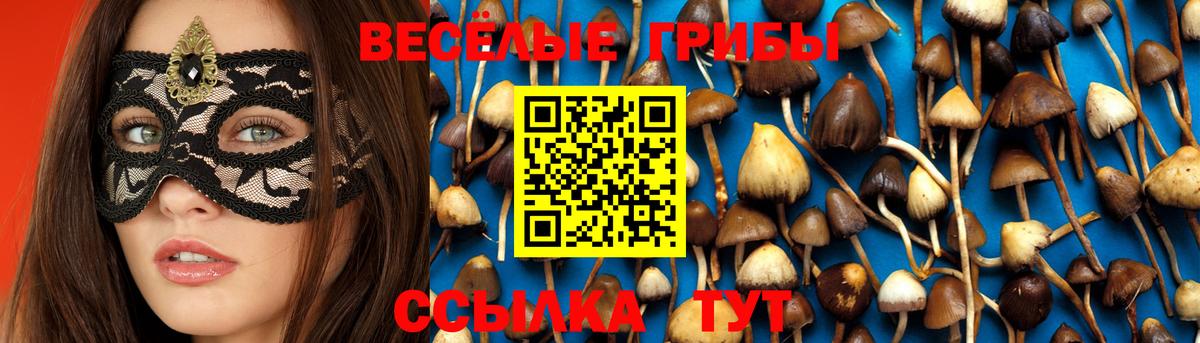 Псилоцибиновые грибы мицелий  Вход с VPN  Галлюциногенные грибы ЛСД  Нефтекамск 